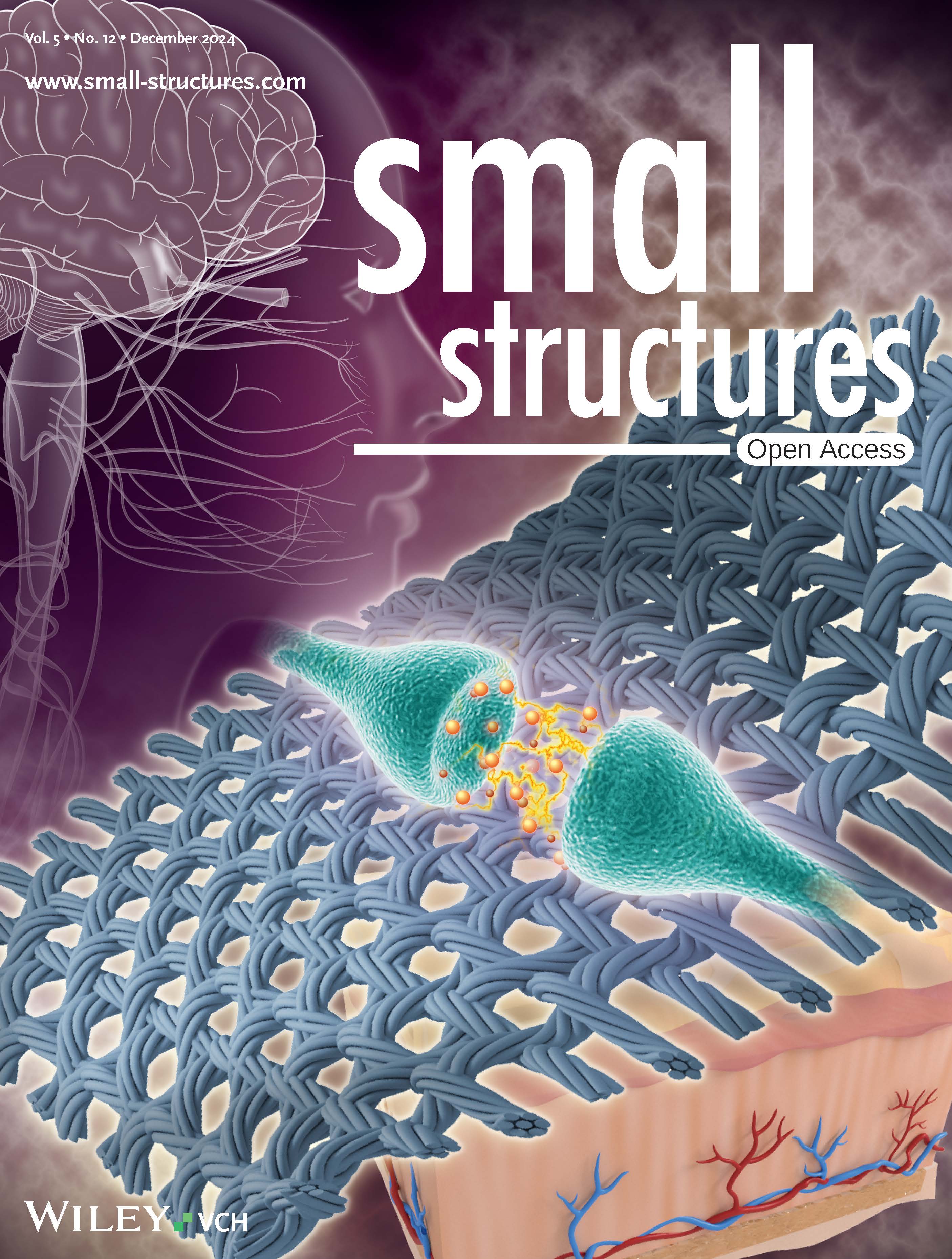 朱麗安 教授於 Small Structures 發表期刊，獲選為 issue 封底.(第一作者為碩士生莊雅涵同學)(另開新視窗)